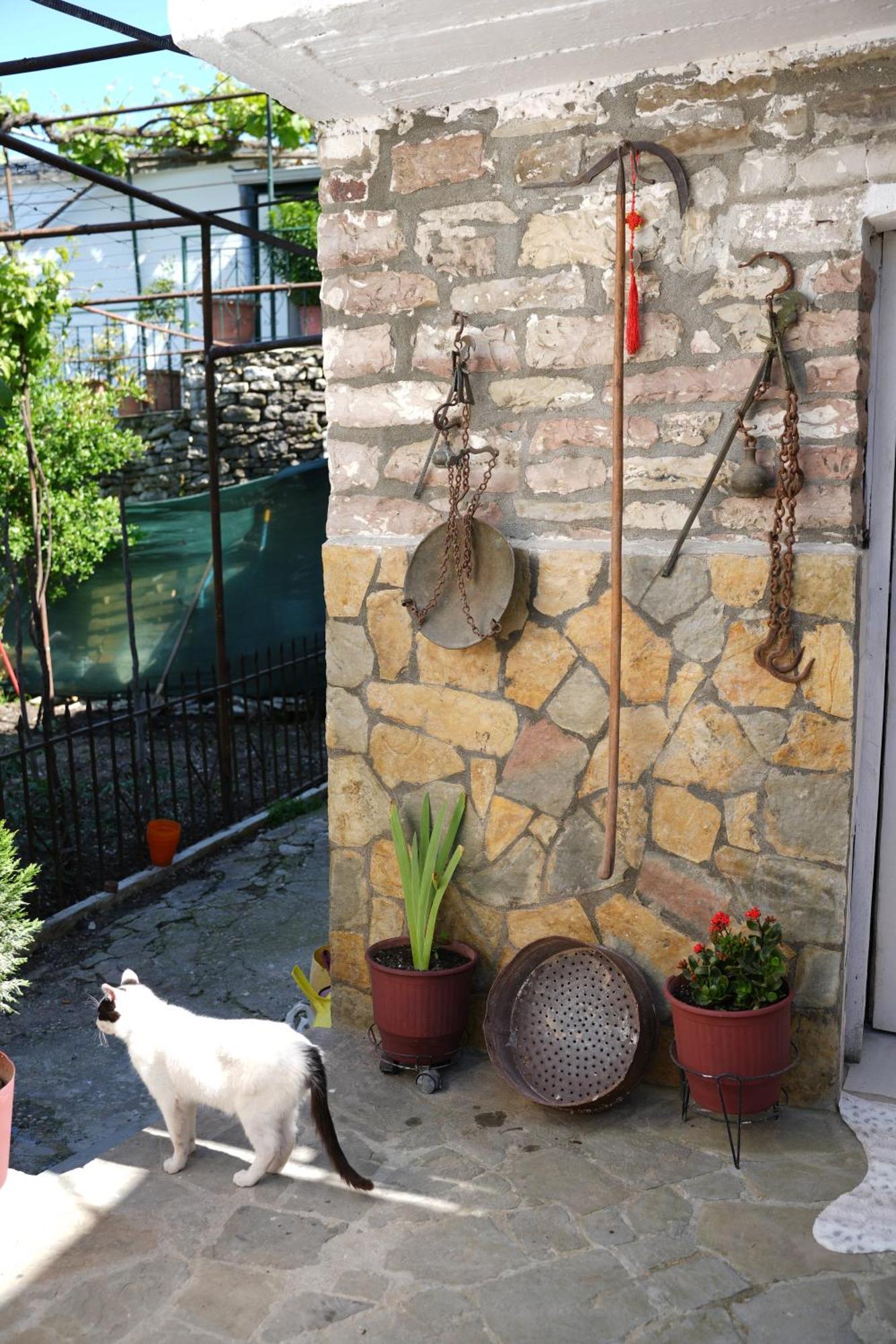 Guest House Denis Gjirokaster Bagian luar foto