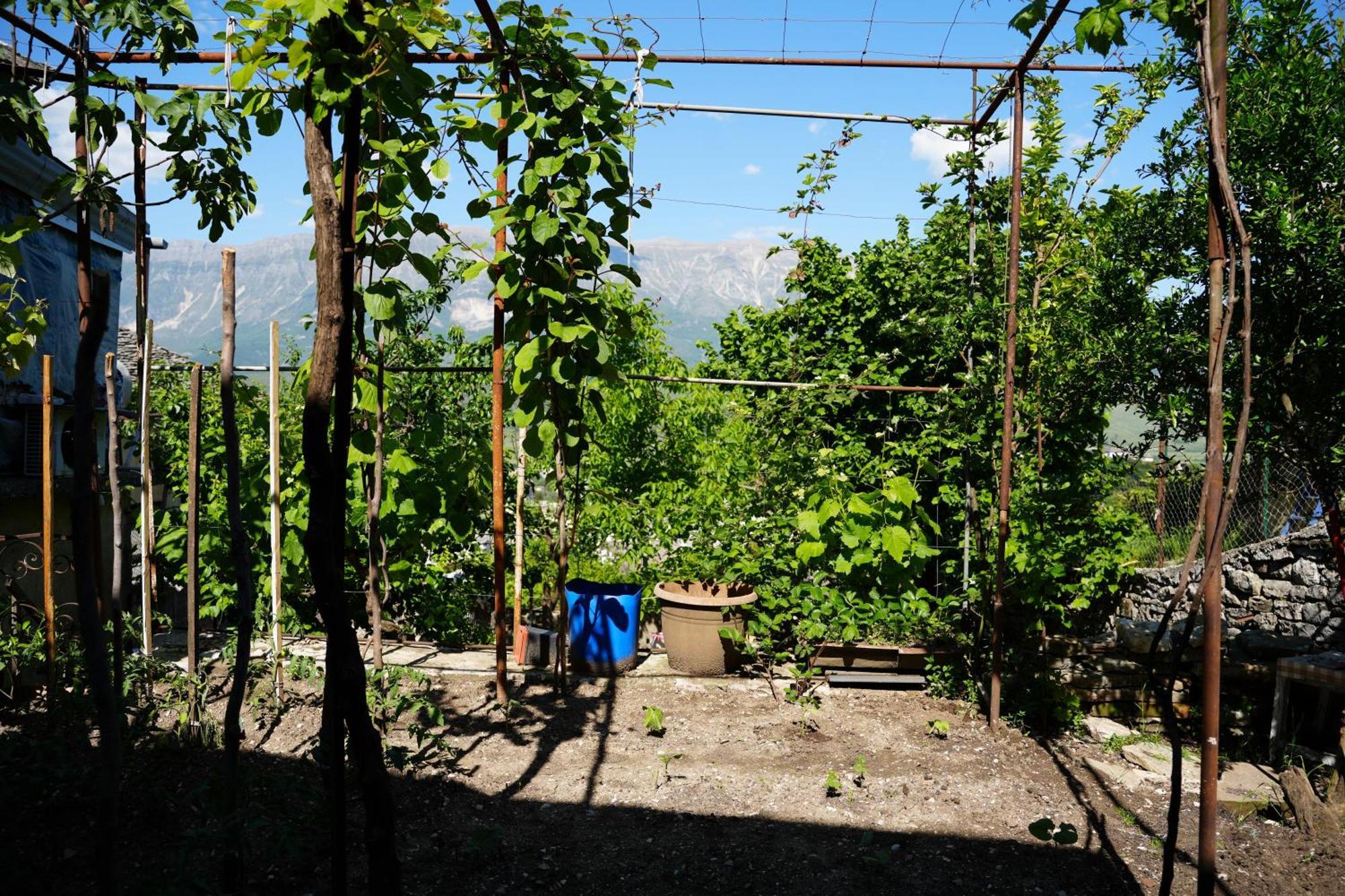 Guest House Denis Gjirokaster Bagian luar foto